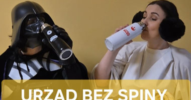 URZĄD BEZ SPINY. Nadzieja zielonego powiatu, czyli zanim wytniesz drzewa i krzewy 